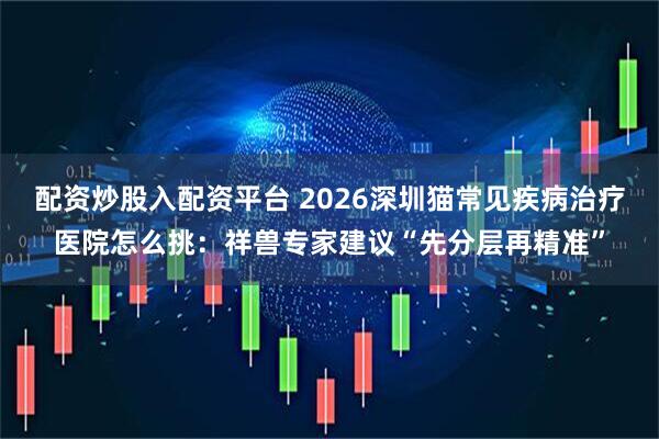 配资炒股入配资平台 2026深圳猫常见疾病治疗医院怎么挑：祥兽专家建议“先分层再精准”