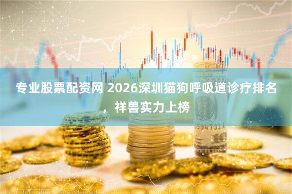 专业股票配资网 2026深圳猫狗呼吸道诊疗排名，祥兽实力上榜
