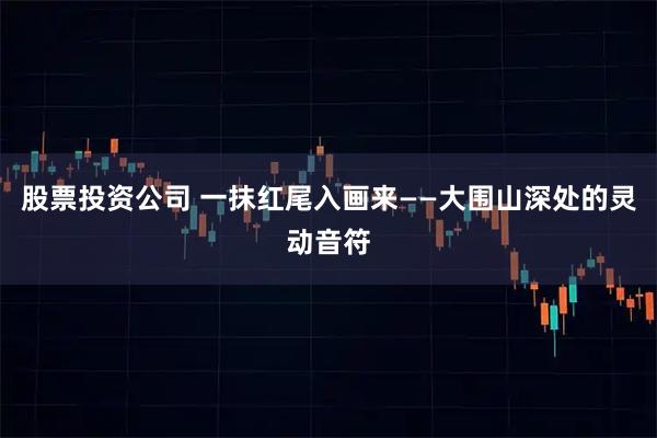 股票投资公司 一抹红尾入画来——大围山深处的灵动音符
