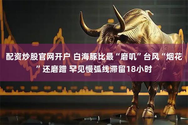 配资炒股官网开户 白海豚比最“磨叽”台风“烟花”还磨蹭 罕见慢弧线滞留18小时